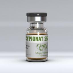 Cypionat 250 Dragon Pharma, Europe