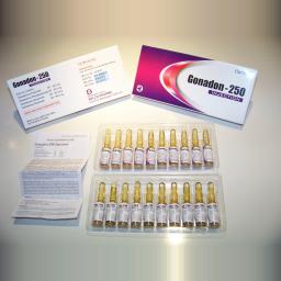 Belco Pharma, India Gonadon 250