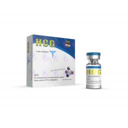 HCG 10.000iu - Human Chorionic Gonadotrophin - Odin Pharma