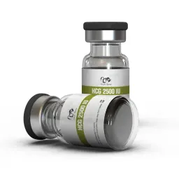 HCG 2500IU