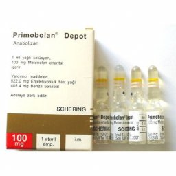 Primobolan Depot - Metenolone enanthate - Bayer Schering, Turkey Primobolan Depot - Metenolone enanthate - Bayer Schering, Turkey