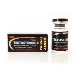 Testosteron-E 250mg - Testosterone Enanthate - BodyPharm