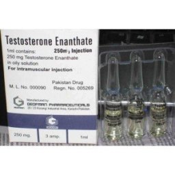 Testosterone Enanthate