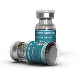 Testoxyl Enanthate 250 - Testosterone Enanthate - Kalpa Pharmaceuticals LTD, India Testoxyl Enanthate 250 - Testosterone Enanthate - Kalpa Pharmaceuticals LTD, India